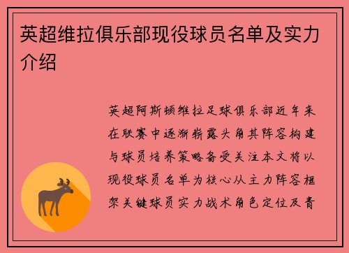 英超维拉俱乐部现役球员名单及实力介绍